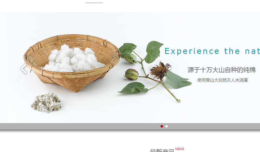 南阳建网站，网站的界面设计