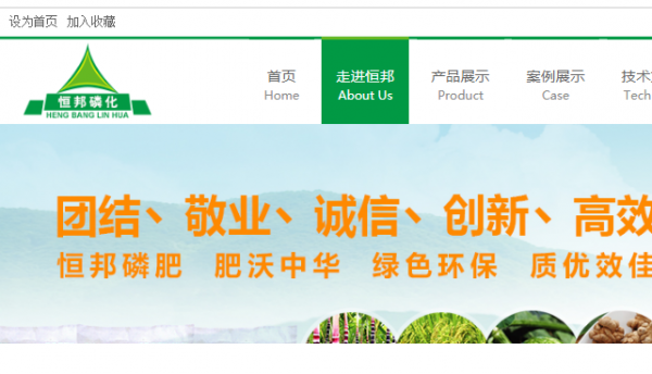 宣威市*邦磷化工业有限公司网站建设基本流程