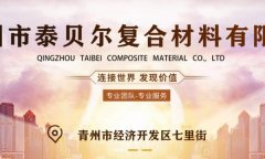青州市泰*尔复合材料有限公司网站建设平面设计案例作品