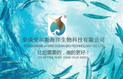 荣成爱*斯海洋生物科技有限公司网站建设新一代自助建站、智能建站系统