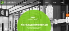 公司网站制作塑造鲜明的视觉风格