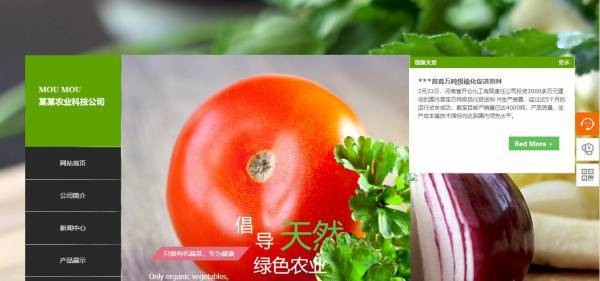 南阳网站设计，行业动态中国传统水墨画元素的概念及内涵