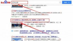 辽宁海*新化工集团有限公司网站建设基本流程