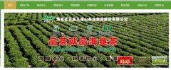 海南省农*五指山茶业集团股份有限公司网站建设展示型案例作品