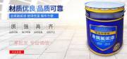 上海驰*涂料科技有限公司网站建设营销型案例作品