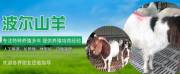 济宁万*农牧科技有限公司网站建设新一代自助建站、智能建站系统