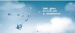 四川久*制盐有限责任公司企业网站建设有创意的主题设计