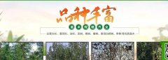 南县盛*苗木种植有限公司做网站有创意的主题设计