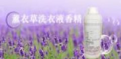 上海依克塞汀香料有限公司海洋网络签订网站建设合同