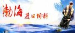 天津渤海海洋进出口有限公司与我公司签订网站建设条款