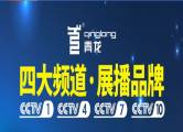 广西青龙化学建材有限公司与我司签订网站设协议