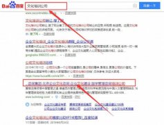 北京爱维龙管理咨询有限公司与本司签约搜索引擎优化协议
