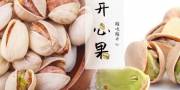 长春市嗑嗑香山珍特产有限公司与我公司签订做网站协议