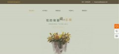 网站seo优化用实力打造新闻网站品牌