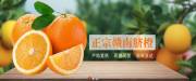 江西省红耕谣农业发展有限公司和本公司签署做网站项目