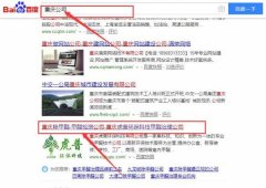 重庆虎普环保科技有限公司和本公司签约SEO推广合同