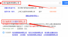 四川省射洪川中建材有限公司与我司做网站推广项目