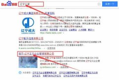 辽宁正元企业管理有限公司跟本公司签订搜索引擎优化项目