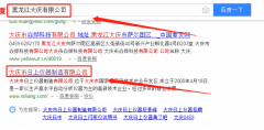 大庆市日上仪器制造有限公司跟本公司签订网站推广项目