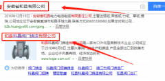 和县科嘉阀门铸造有限公司与我司做网站推广项目