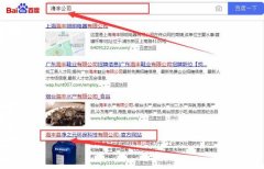 海丰县净*元环保科技有限公司跟本公司签订搜索引擎优化项目