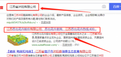 江苏苏北花卉股份有限公司与我司做网站推广项目