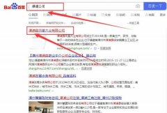 漳浦县*星木业有限公司和本公司签约关键词优化排名合同