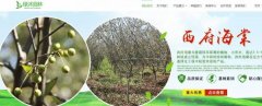 沭阳县*沭园林绿化有限公司经典网页模板网站建设园林绿化行业作品欣赏