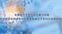 江苏省泰兴市*凌有限公司做网站有创意的主题设计