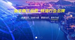 泰兴市必*电子有限公司网页制作平面设计案例作品