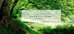茌平县*力达木业有限公司做网站基本流程