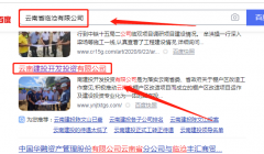 云南*投开发投资有限公司网站建设创意网站效果展示