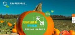 企业做网站当前CSS技术所存在的不足之处