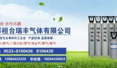 淄博桓台瑞*气体有限公司制作网站营销型案例作品