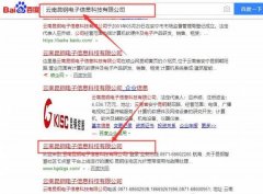 云南昆*电子信息科技有限公司网站建设案例欣赏