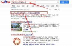 云南金*制药有限公司网站建设优秀设计作品