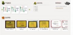 江西乐平*年青水泥有限公司网站建设营销型案例作品