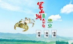 江西省进贤县军*湖鱼蟹开发公司做网站有创意的主题设计
