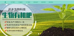 馆陶县庆*生物科技有限公司网站设计创意网站效果展示