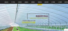 迁安市隆*农膜有限公司网站建设有创意的主题设计