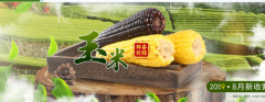 山西省忻州市天*源食品有限公司做网站有创意的主题设计