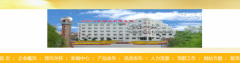 赤峰中*锌业有限公司网页设计可视化建站作品欣赏