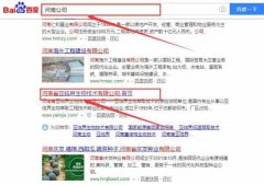 河南省亚*界生物技术有限公司网站建设基本流程