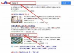 湖北迅*药业股份有限公司网站建设案例欣赏