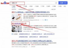 宜春善*科技有限公司蓝色系网站建设给你设计灵感