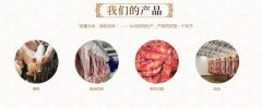 南充市太*食品有限公司企业网站建设营销型案例作品