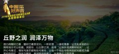 四川省眉山市*居坊食品有限公司设计网站基本流程