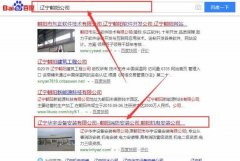 辽宁华*设备安装有限公司网站建设创意网站效果展示