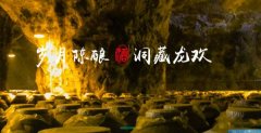 文山龙*酒业有限责任公司企业网站建设平面设计案例作品