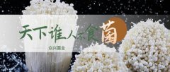 天水众*菌业股份有限公司网站建设有创意的主题设计